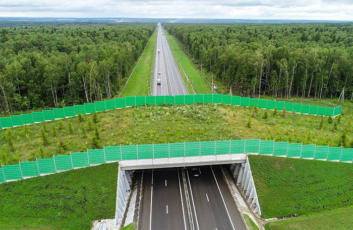    Экодук на дороге М3 «Украина». Фото: ОССП/unitoll.ru