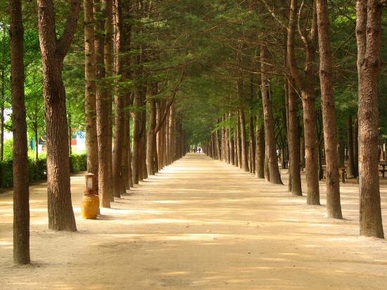 Узнаете место?😊 Источник: tripadvisor.ru