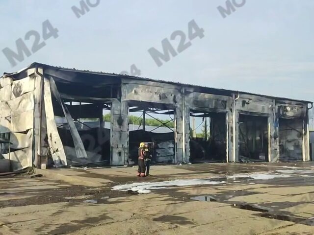    Фото: телеграм-канал "Москва 24"