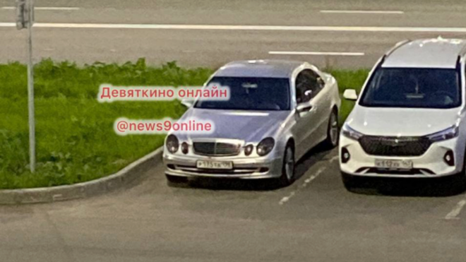 Фото: Девяткино online/telegram