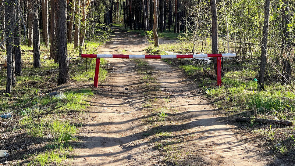 Фото: Игорь Елисеев / Коммерсантъ