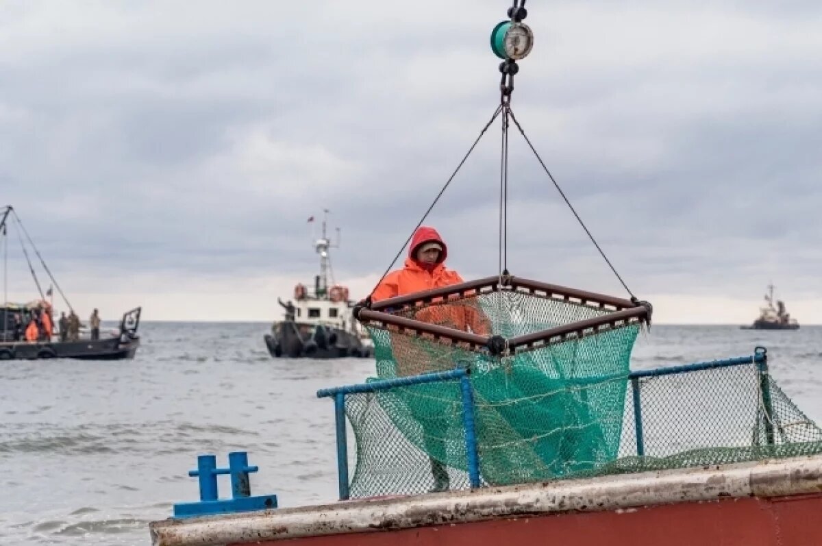    Камчатка утвердила программу любительского лова лососей на 20 лет