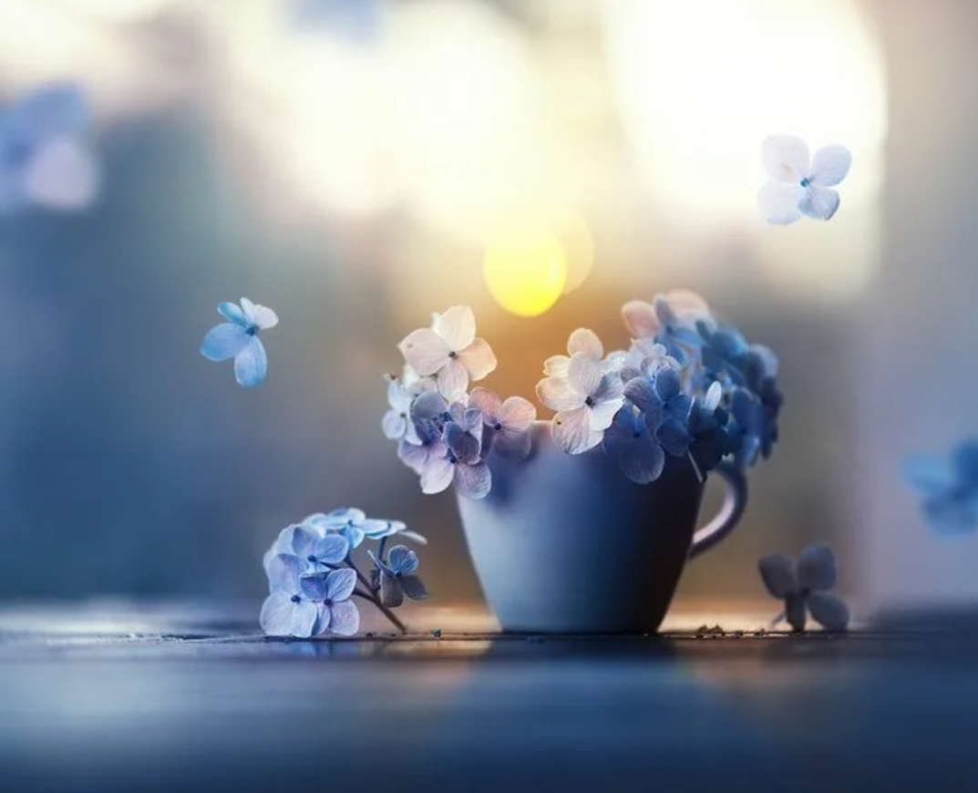 Фото из интернета