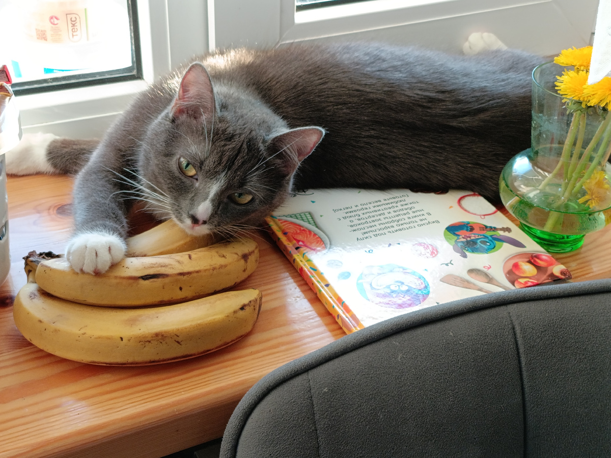 А кто-то таскает бананы))) 