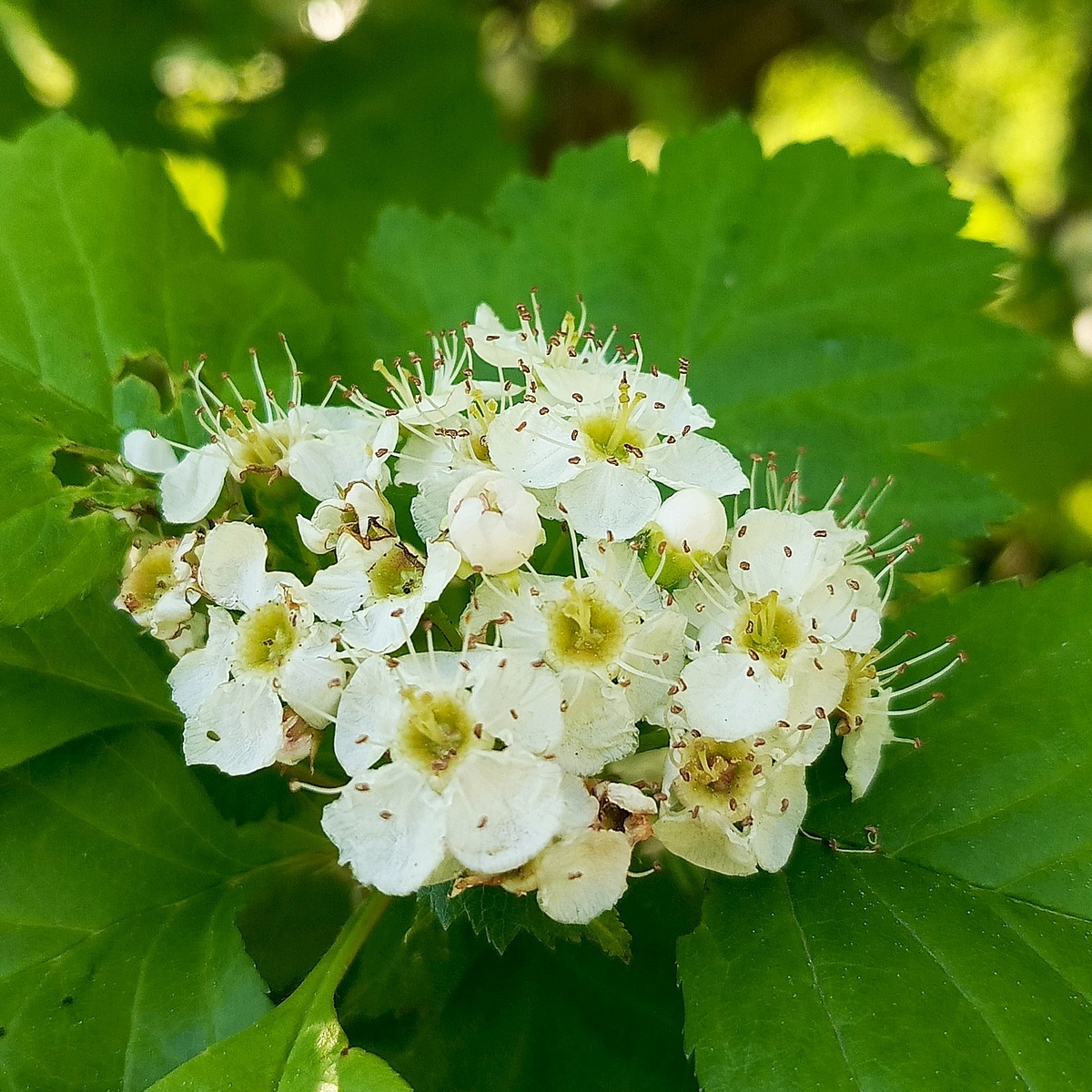 Фото авторское