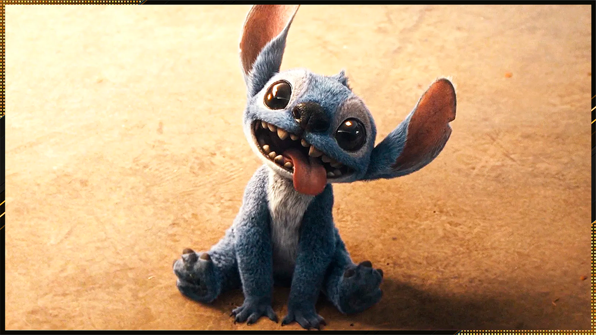 источник фото: фотографии в свободном доступе