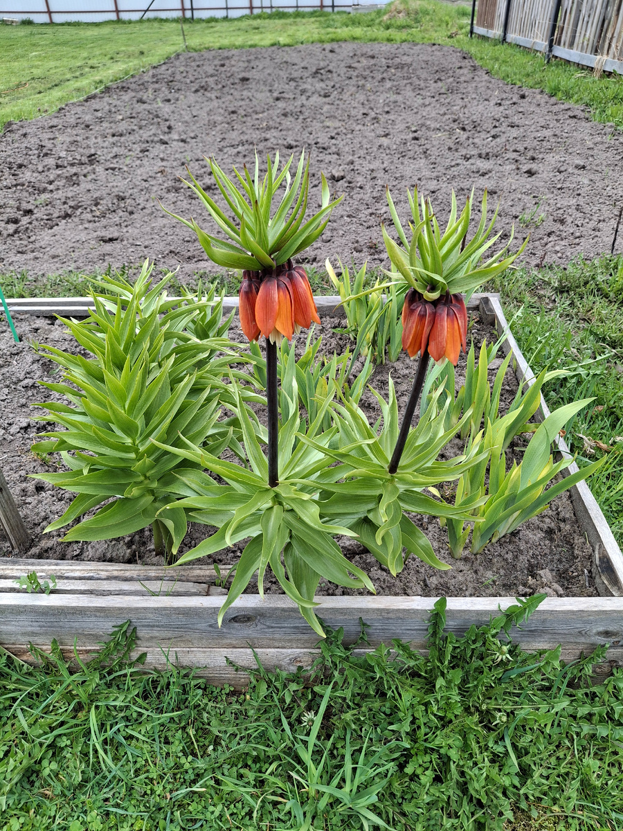 Фото автора. 