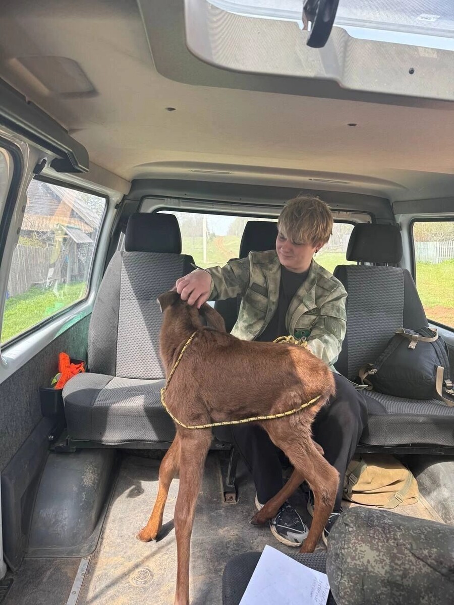     Источник: t.me/минприроды Удмуртии