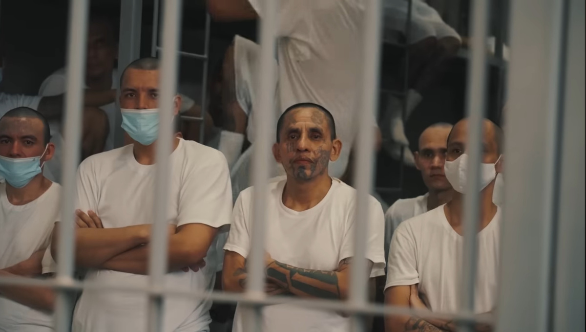 В Секот нет имён. Только номера. Только бетон.