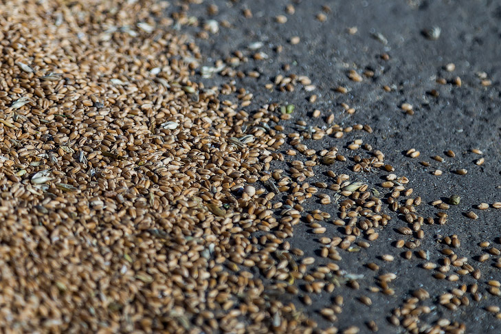    Фото Андрея Заржецкого