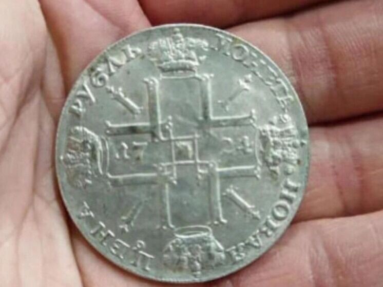     Источник: Авито