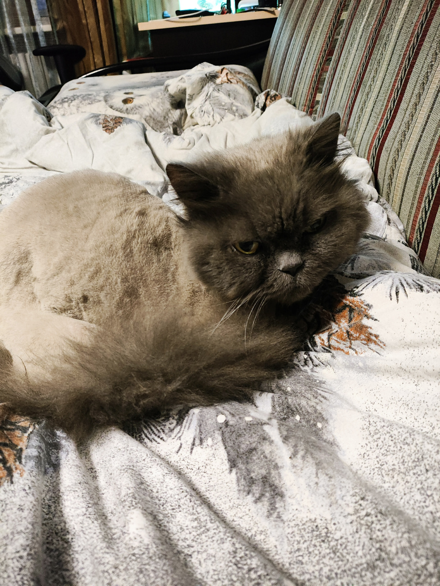 Филя до появления Луни