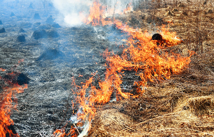 https://www.interfax.ru/ftproot/textphotos/2019/04/20/700ht_Og.jpg