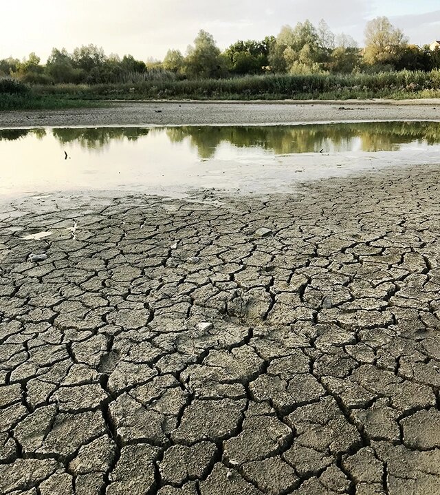   Некоторые мелкие водоёмы летом иссыхают полностью. Фото: предоставлено героем публикации./ Николай Онистратенко
