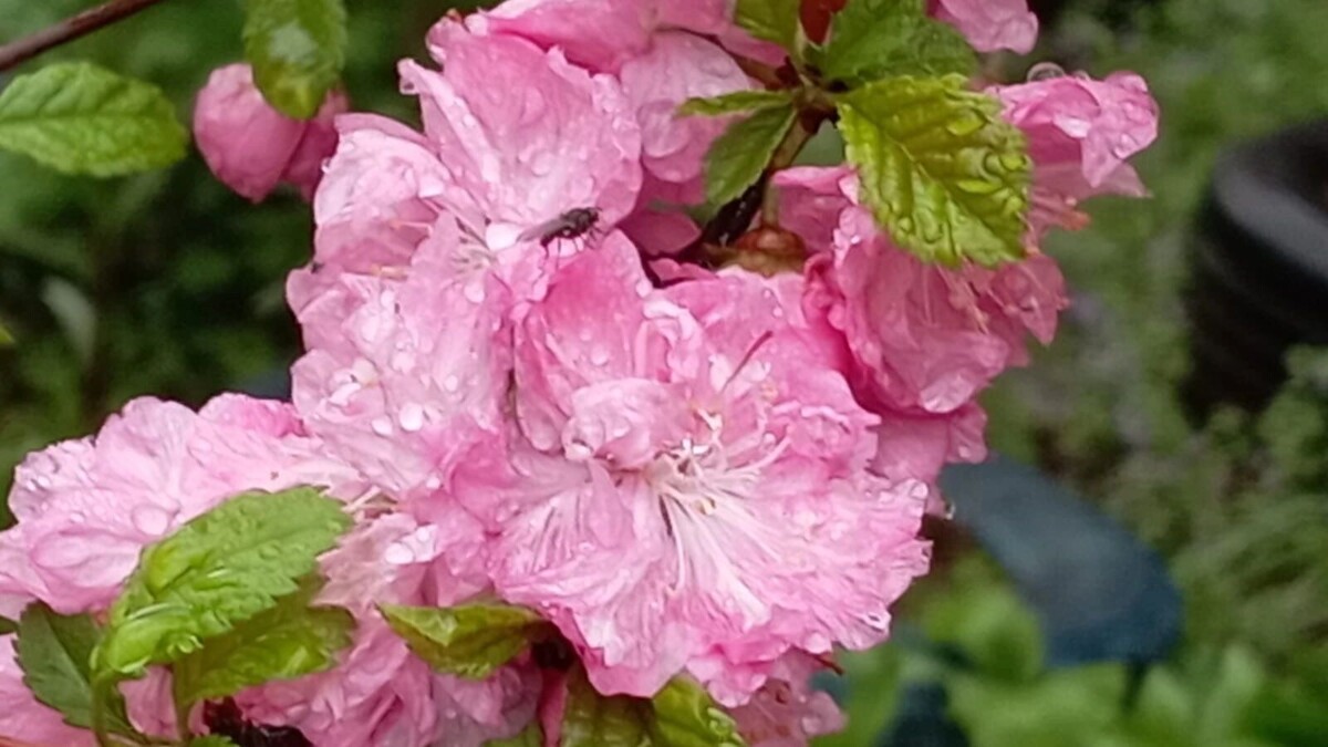     Источник: transsibinfo.com