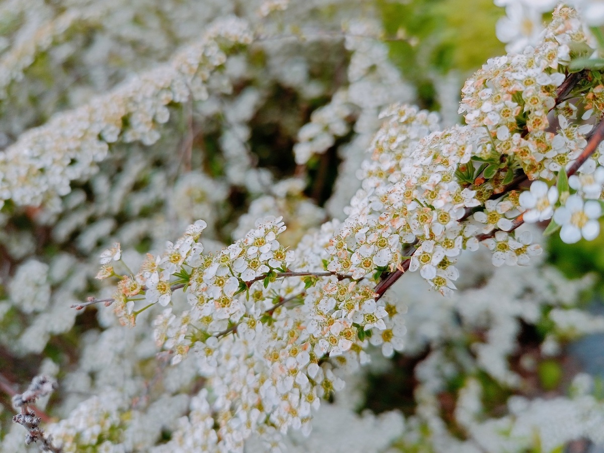    Фото: «Самара Онлайн24»