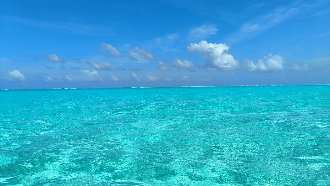    Фото: Maksim Konstantinov/Global Look Press