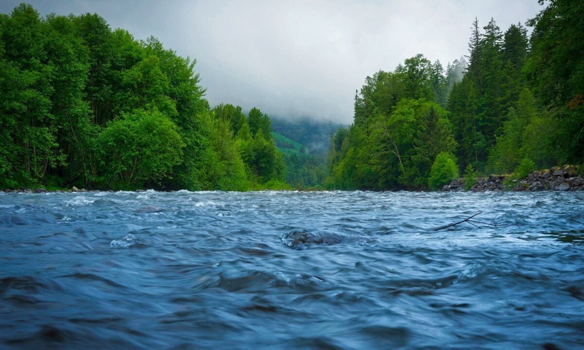    Фото t.me/mingochskk