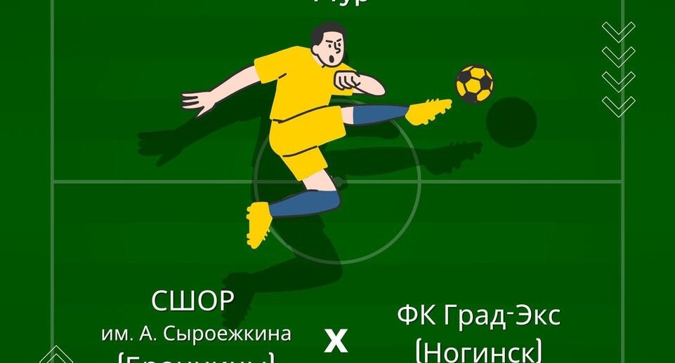    Бронницкая спортивная школа