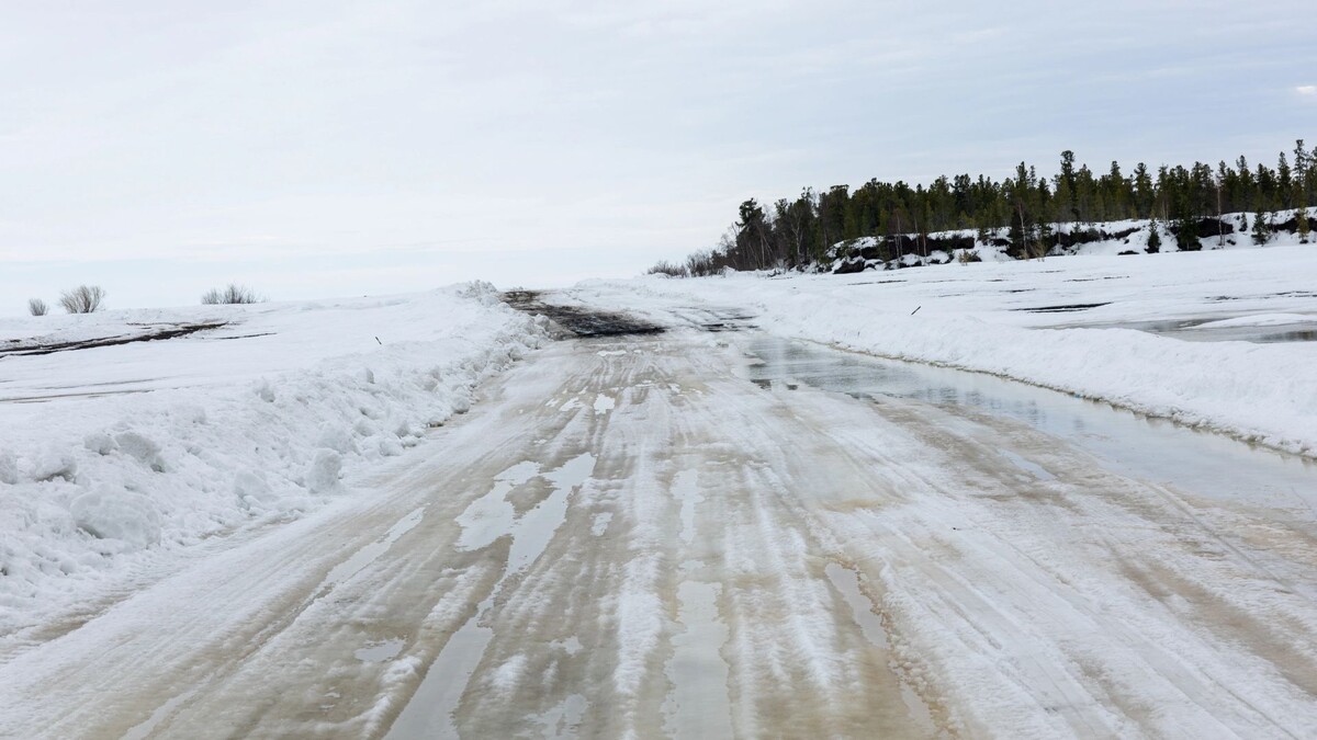    Фото: Александр Чирва / «Ямал-Медиа»