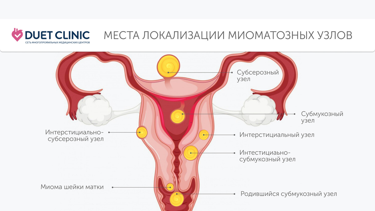 Дуэт Клиник