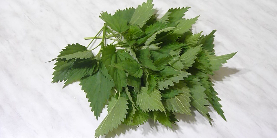 Любимые рецепты с крапивой. ТОП 7