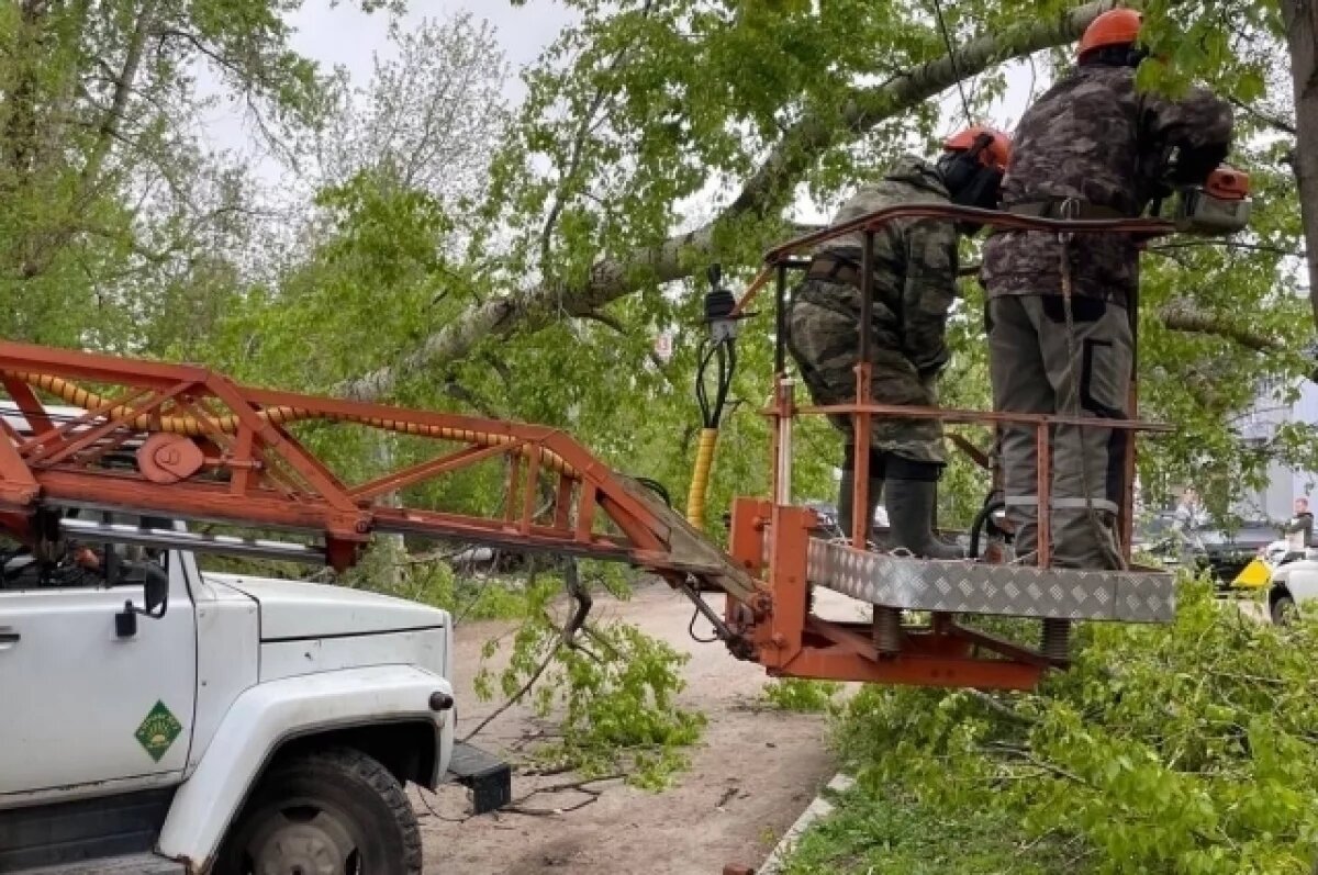    Работами занимаются специалисты дирекции благоустройства Кирова.