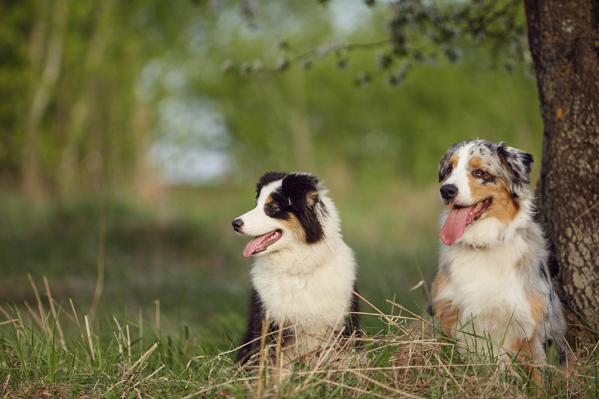 Найдут и ликвидируют любые банки и палки