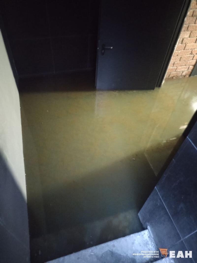    Из-за канализации в доме стоит сильная вонь