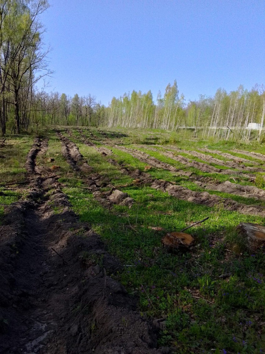 Фото: тг-канал Александра Володько