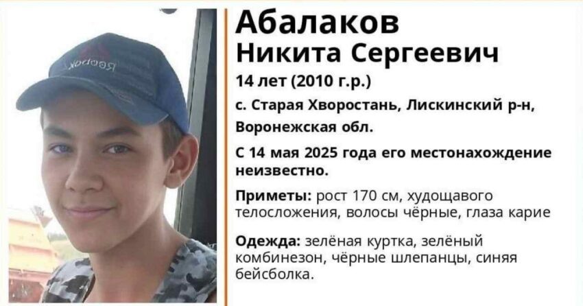    Лиза Алерт.