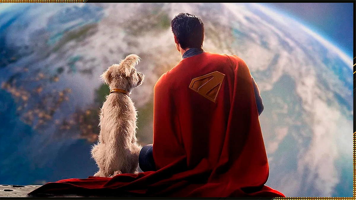 источник фото: фотографии в свободном доступе