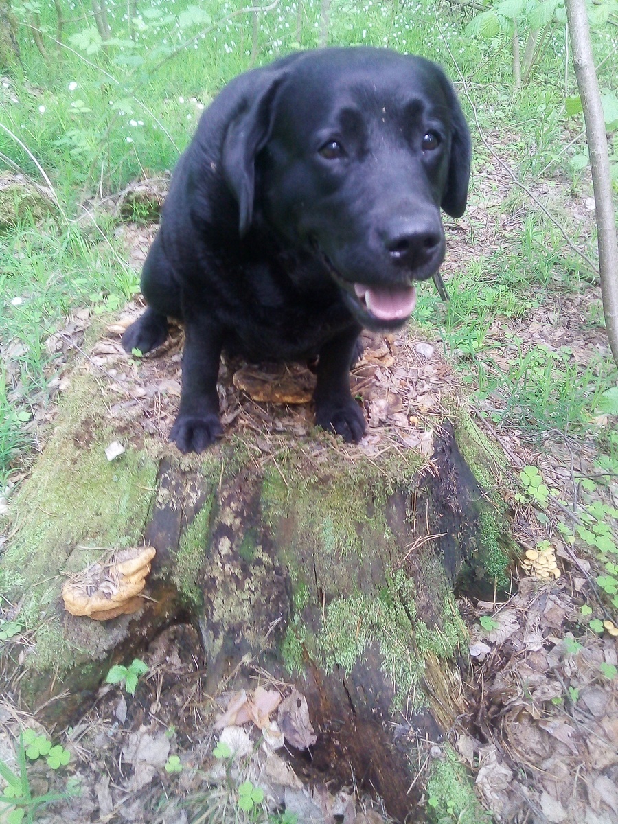 Фото автора.