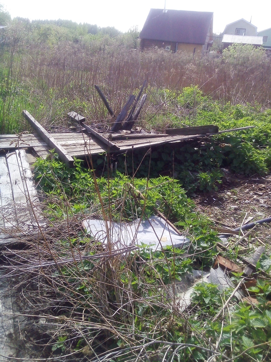 Фото автора.