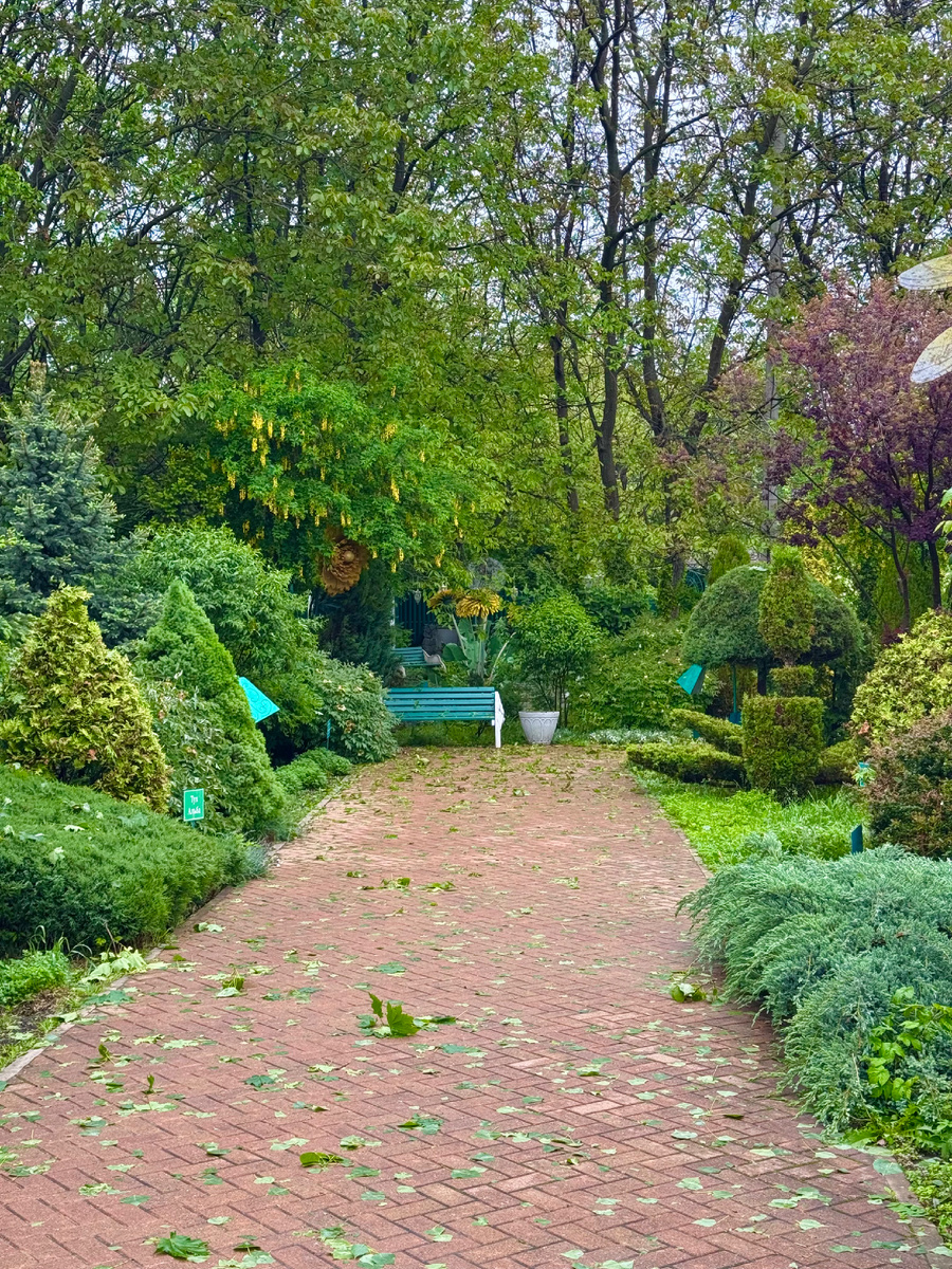 фото Сад в стиле Paradise ®