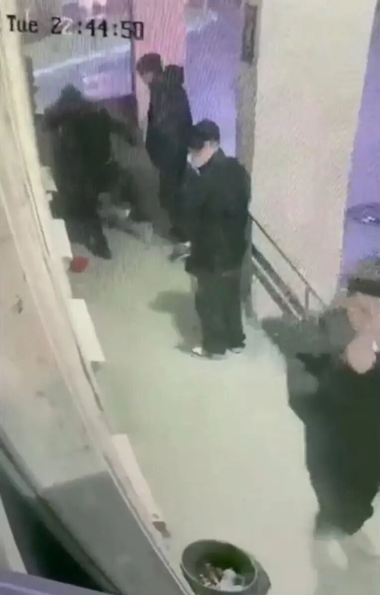    Фото: кадр видео ГУ МВД по Петербургу и Ленобласти