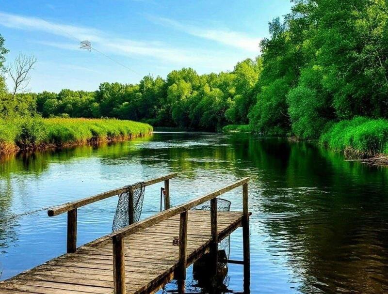    Фото МЧС РО admin