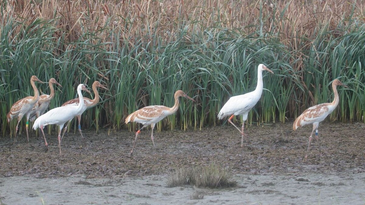    Фото: t.me/oksky_reserve