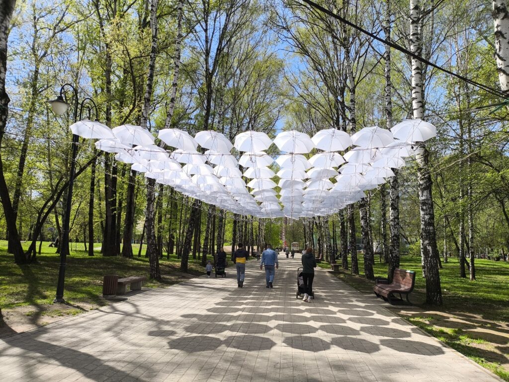    Фото: В курсе.ру Ульяна Бажанова