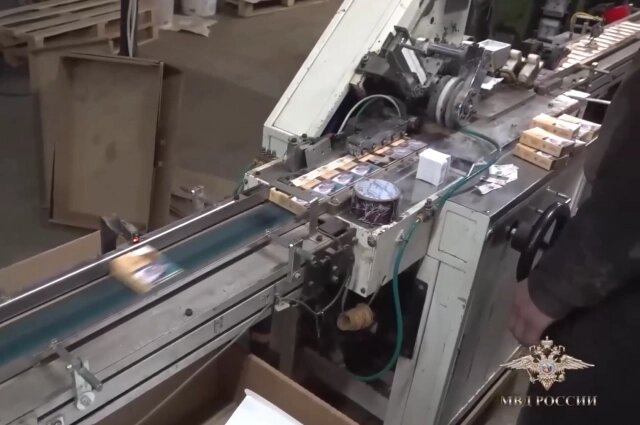    Фото: Пресс-служба ГУ МВД России по Петербургу и Ленобласти/ скриншот видео