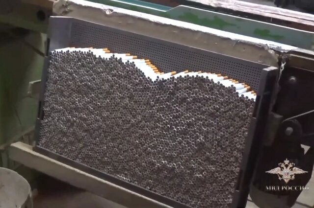    Фото: Пресс-служба ГУ МВД России по Петербургу и Ленобласти/ скриншот видео