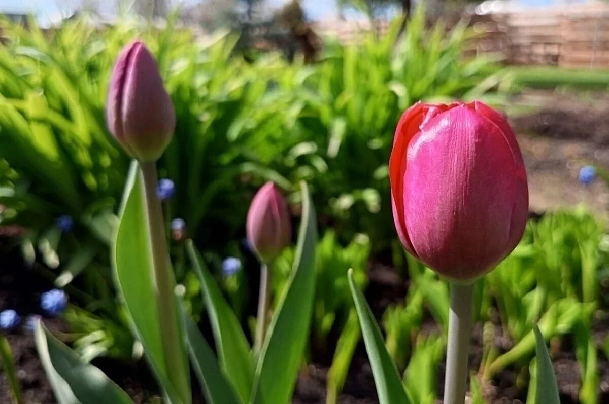    Сухую и теплую погоду прогнозируют на выходные в Свердловской области