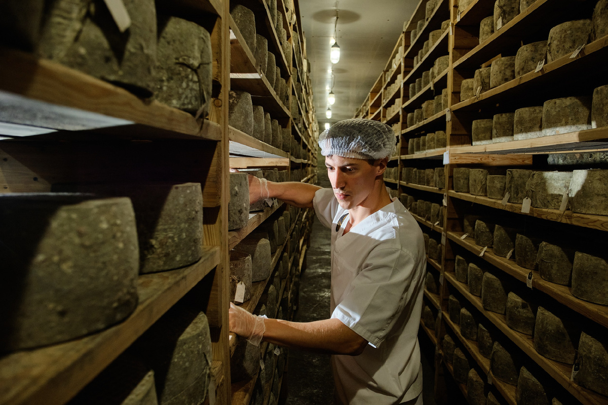 Это камера созревания Чеддера. Здесь более 20 тонн - 6,12 и 18 месяцев выдержки. Ни одна другая сыроварня в стране не может предложить таких объемов фермерского Чеддера разной выдержки. 