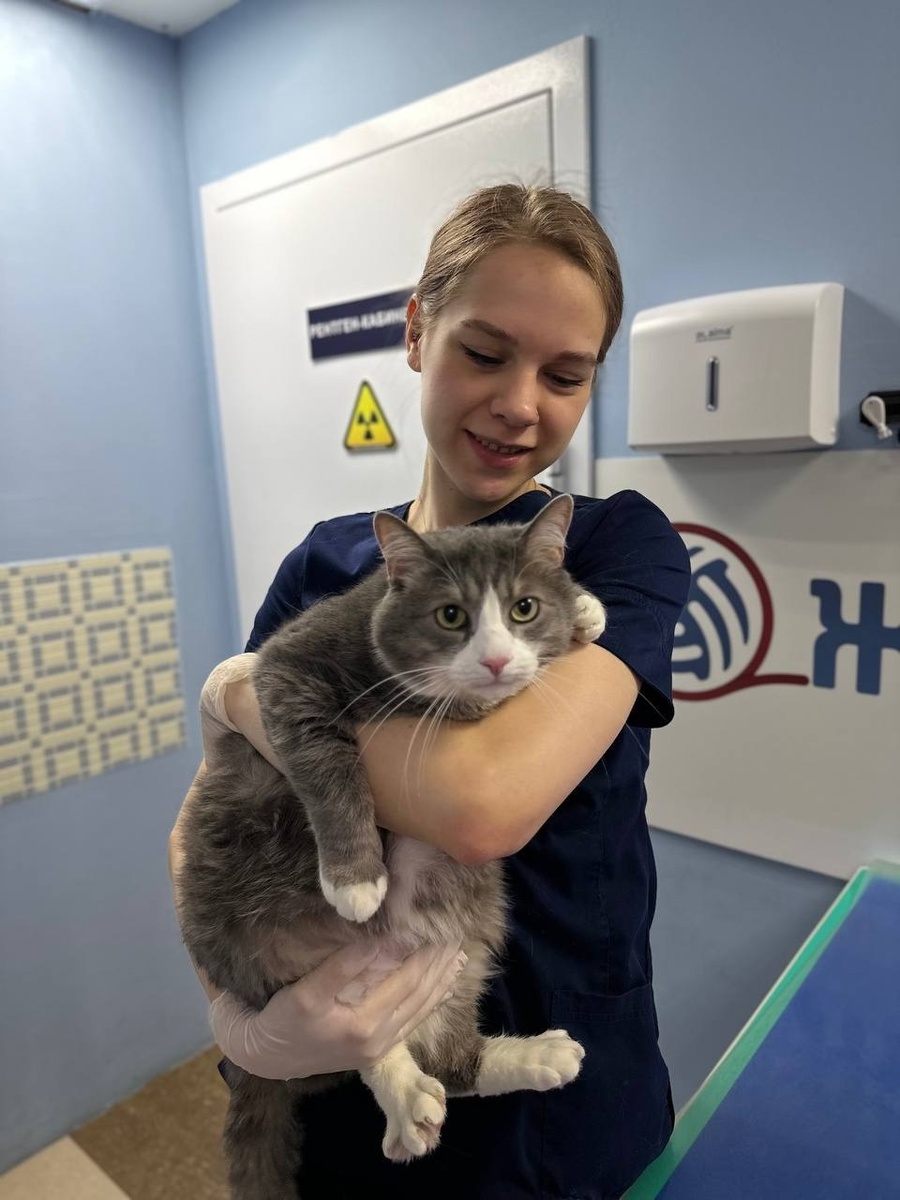 Филимон на приеме в ветклинике в Калуге Жизнь