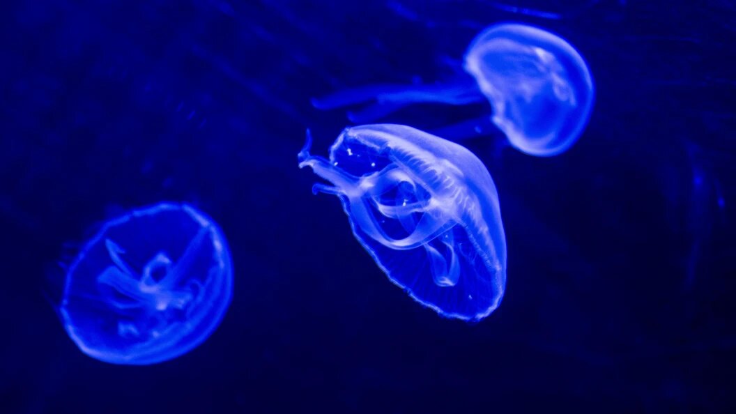    Peter Kneffel/dpa/Globallookpress