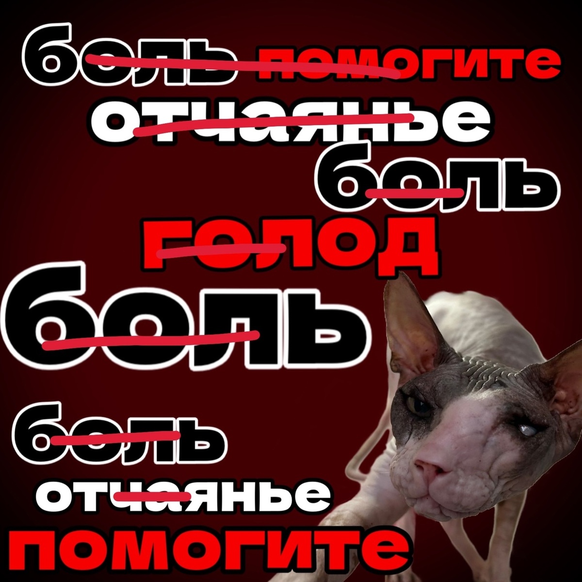 500 животных! ПРЕДЕЛ! Крики, ну просто в пустоту!