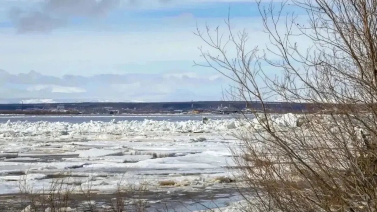    Ледоход на Оби прошел за сутки всего 24 км. Фото: Фёдор Воронов / «Ямал-Медиа»
