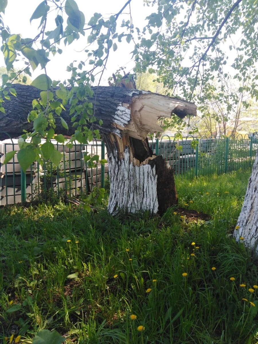     Источник: vk.com/Администрация города Воткинска