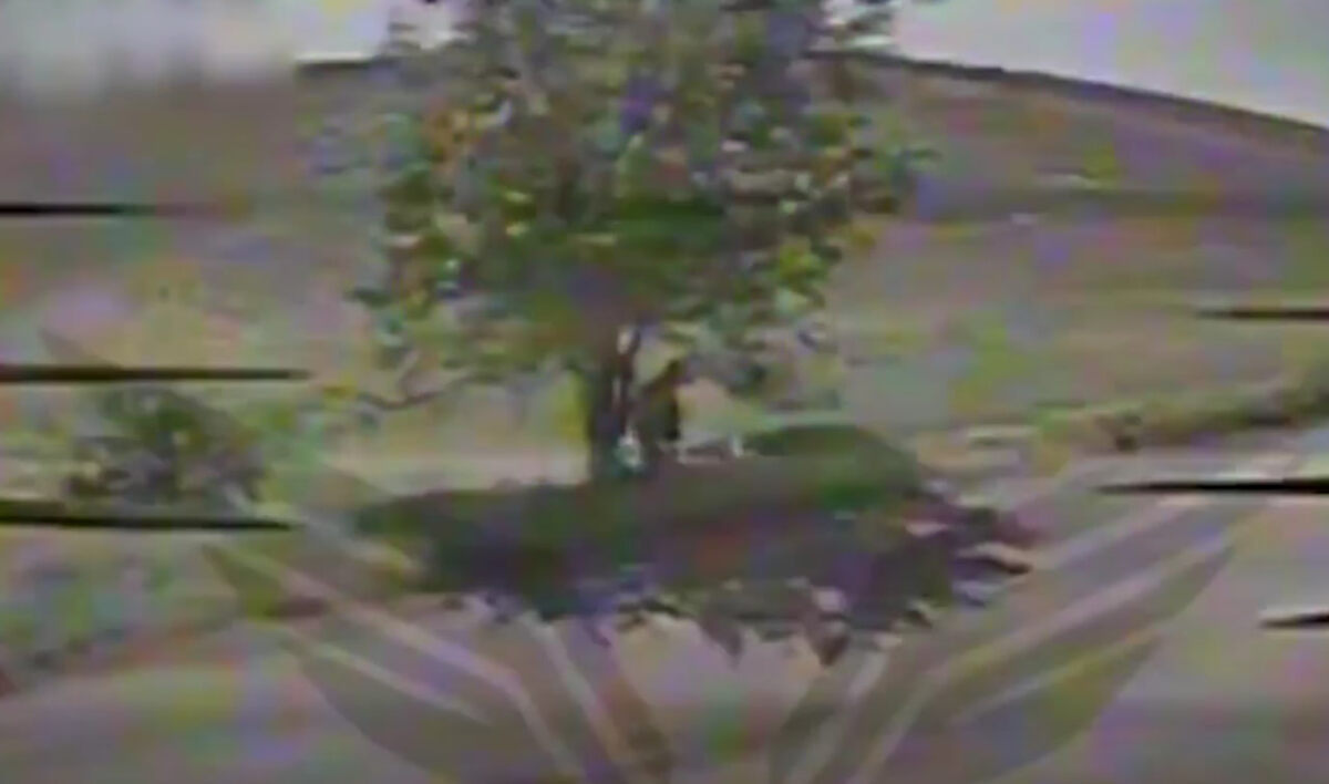    скриншот видео Минобороны