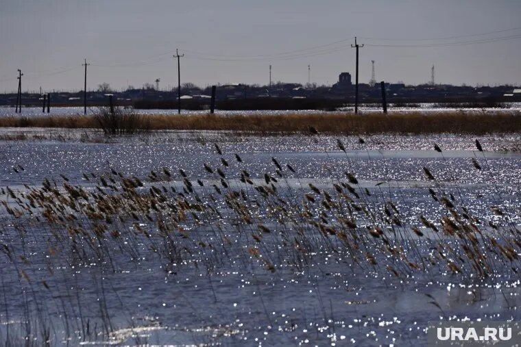 В Абатском районе ухудшилась ситуация с наступлением «большой воды». Фото: Екатерина Сычкова © URA.RU